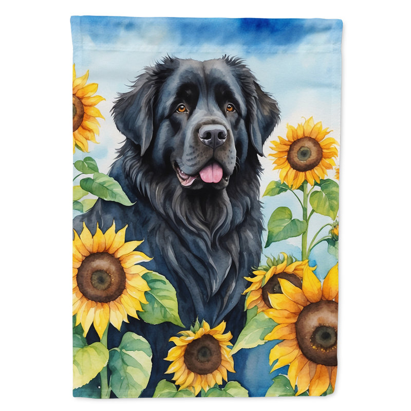 Lévrier irlandais dans le drapeau du jardin de tournesols, Noir Terre-Terre