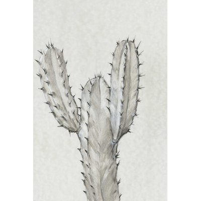 Étude de cactus II