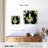 Crowle Tropical Cockatiels-109396229