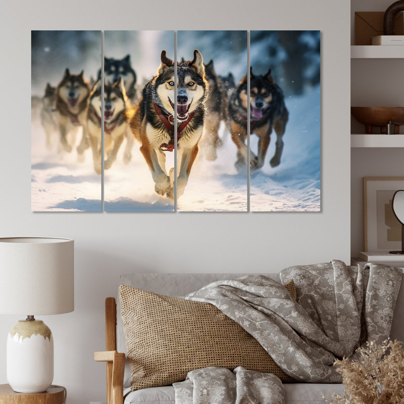 Alaska Dog Sledding I U.S. States & Territories Wall Decor on Metal