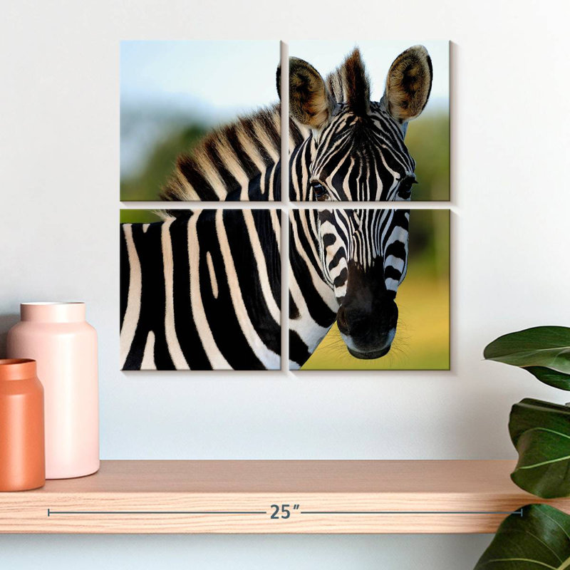Brampt Staring Zebra