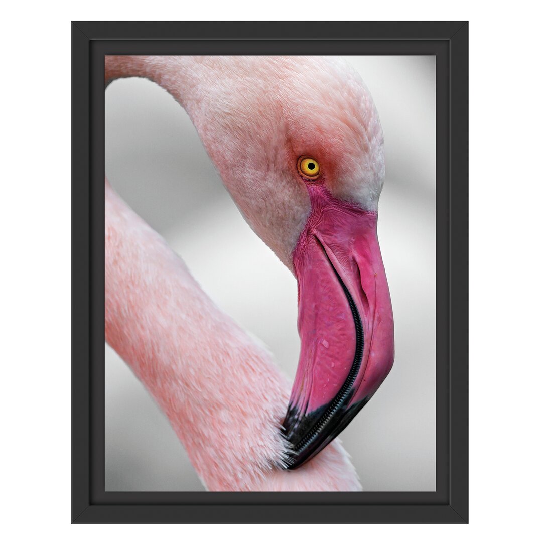 Gerahmtes Wandbild prächtiger Flamingo