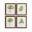 L'arbre I - ensemble de 4 reproductions d'art encadrées-1506622941-1506622915-1496819695