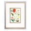 Fleurs rétro - ensemble de 4 peintures