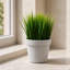 Pack of 6 x Artificial Potted Foliage Plants 22 cm H Faux Ficus Plant in Plastic Planter
