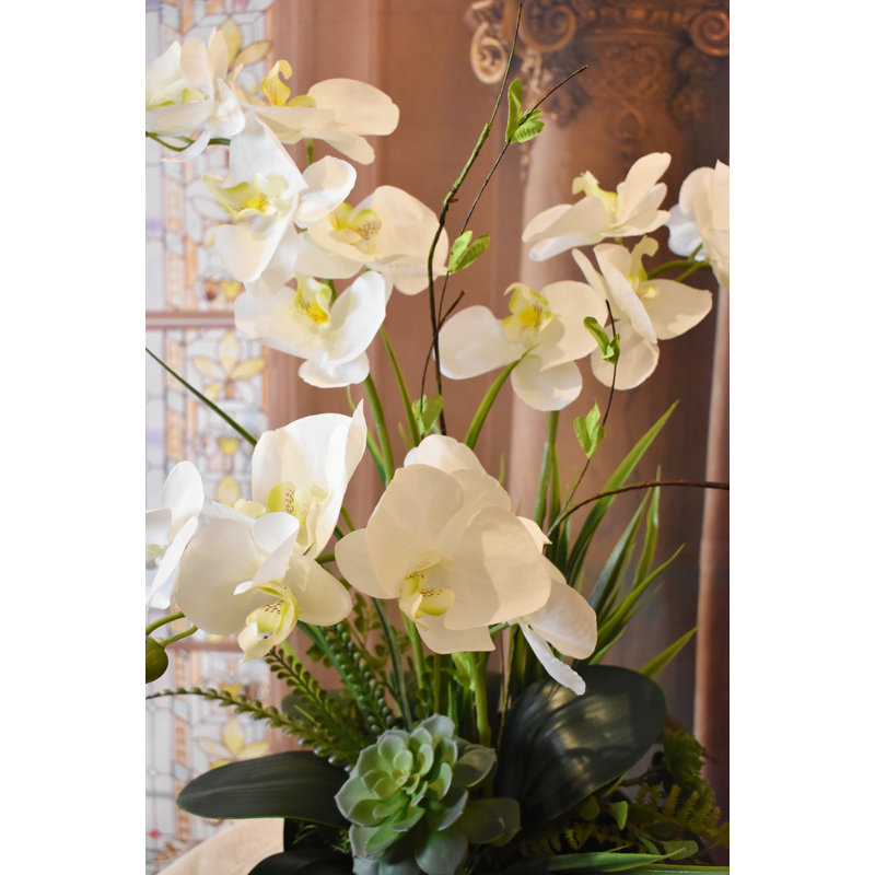 Primrue Orchid Floral Arrangements in Vase & Reviews | Wayfair