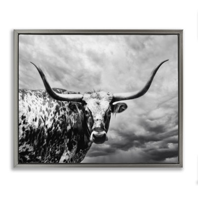 Toile flottante encadrée "Longhorn over Clouds" par PHBurchett