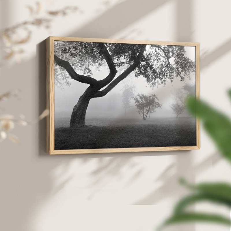 «Into the Mist», impression encadrée, H 22 po x l 28 po, Naturel