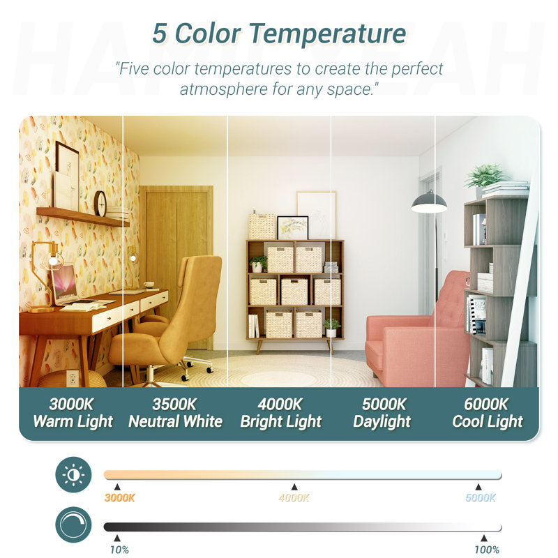 Ledja 20 inch Flush Mount Ceiling Light Dimmable