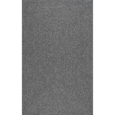 Edie Braided Indoor/Outdoor Rug
