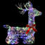 Lighted Reindeer-1924581361