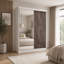 Modern 2 Door Sliding Wardrobe-345099776