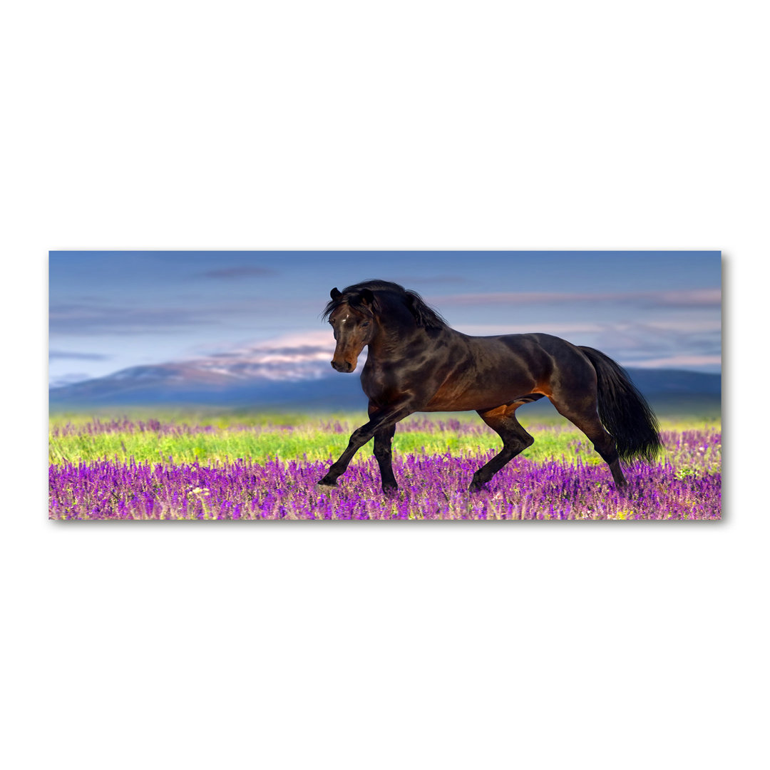 Horse On The Lavender Field - No Frame Print on Canvas