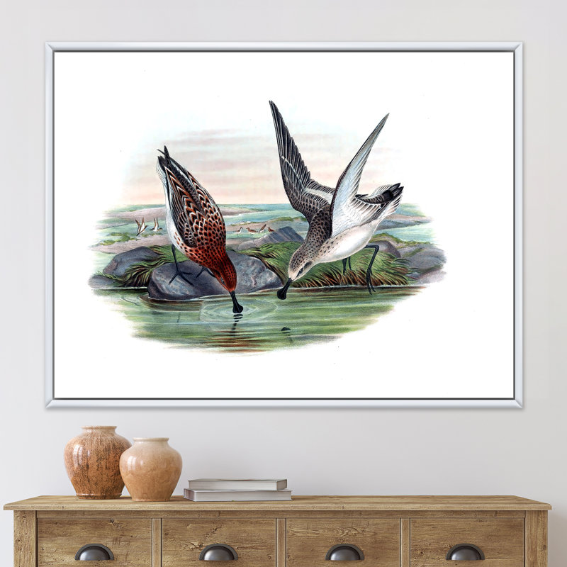Vinage, animaux de campagne IV - impression sur toile, Cadre blanc, H 16 po x l 32 po x p 1 po