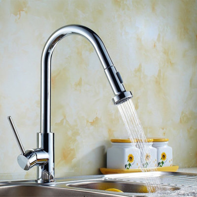 Belfry Kitchen Calliope Kitchen Faucet