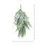 Frosted Norfolk Pine Teardrop Swag