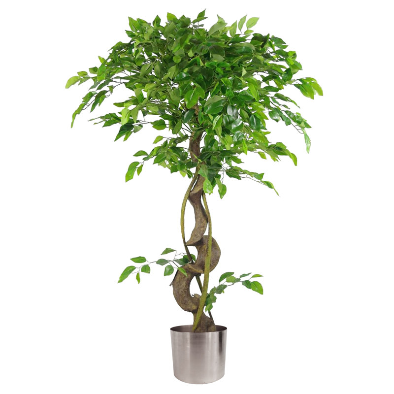 Faux Ficus Tree, 120cm H x 40cm W x 40cm D, Silver