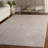 Reflection Performance Oriental Indoor Rug-774508504