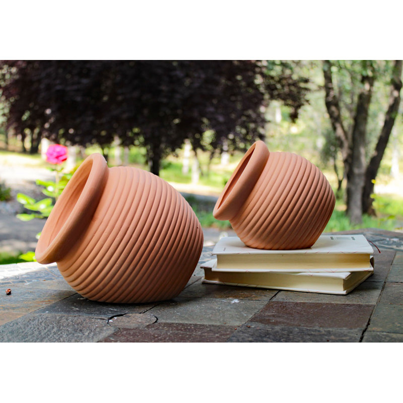 Amariae Pot Planter