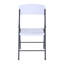Lifetime Folding Chair