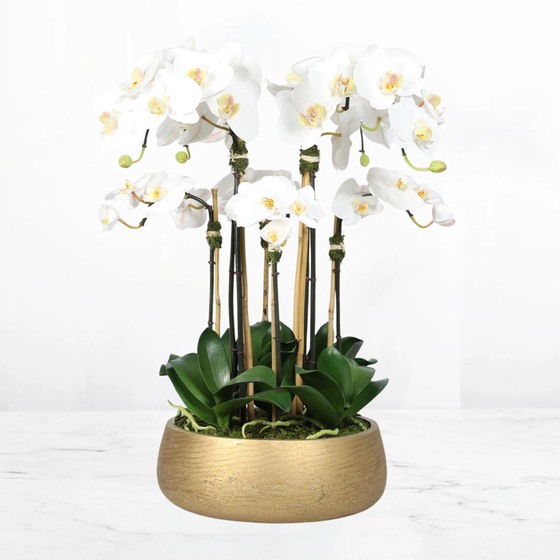 Silk Orchid Centerpiece Arrangement, 24 x 18, Gold