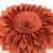 Pumpkin Orange/Beige