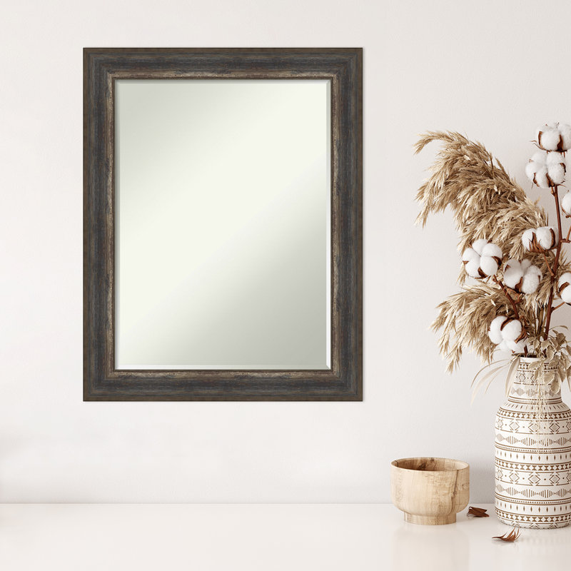 Carny Mirror, Gray