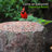Stone Freestanding Decorative Bird Feeder