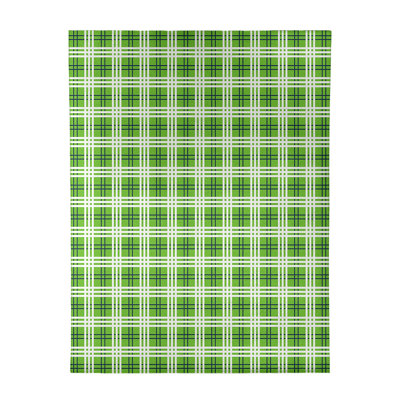 Plaid Indoor Rug