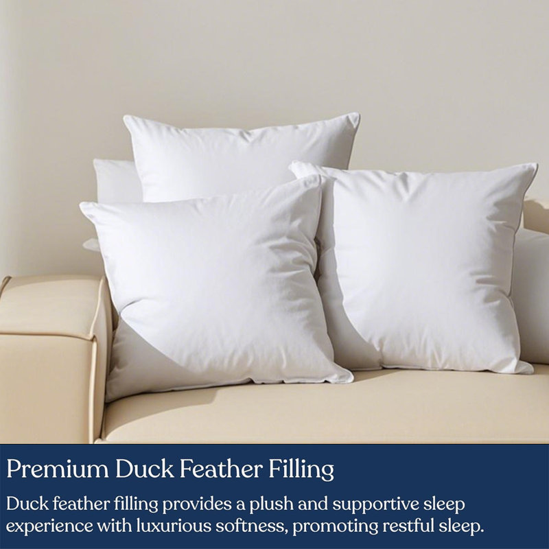 100% Cotton Shell Soft Fluffy Feather Down Throw Pillow Inserts(Set of 2), 18"H x 18"W