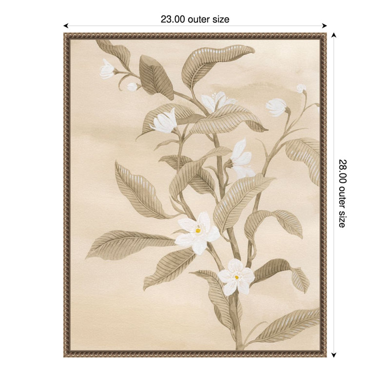 «Sépia orange blossom esquisse II» par Grace Popp, reproduction d'art sur toile encadrée, H 22,5 po x l 27,8 po