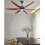 Ceiling Fan