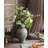Daisy Arrangement