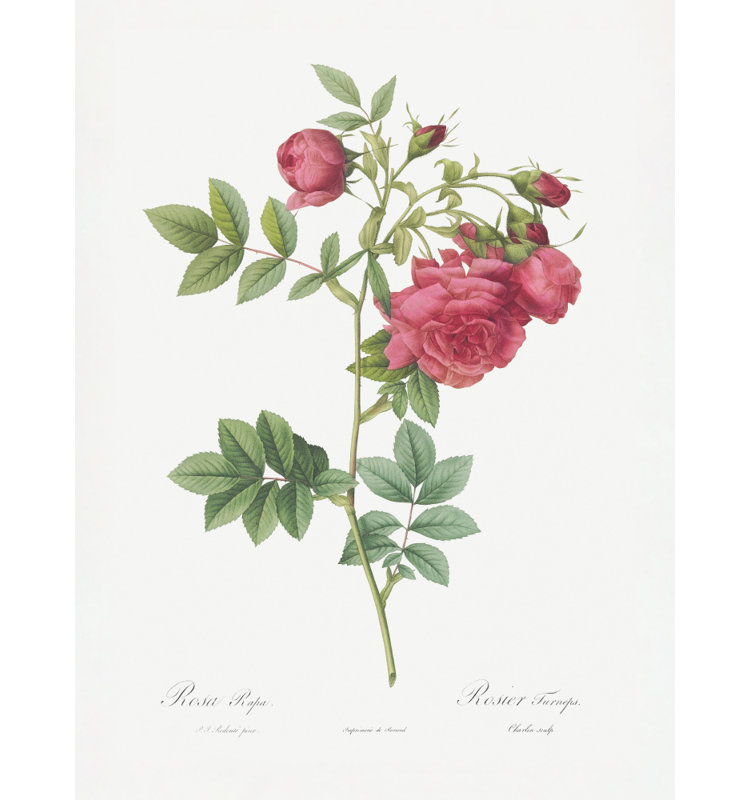 Wrapped Canvas Print, 91.44cm H x 60.96 cm W