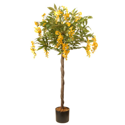 Arbre à glycine 48 "