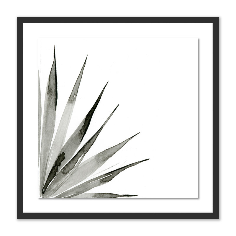 Agave II Print by Jess Engle, 24" H x 24" W x 1.5" D, Black