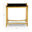 Anahii Glass Top End Table