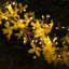 Guirlande de lumières Widner