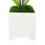 Akeyah Faux Palm Plant in Fiberstone Pot