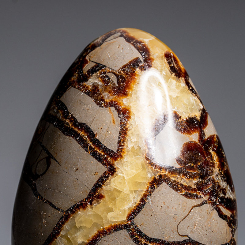 Polished Septarian Freeform from Madagascar (2.3 Lbs), 5" H x 3.5" W x 2" D