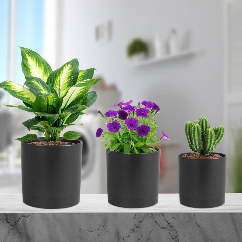 Planter, Black