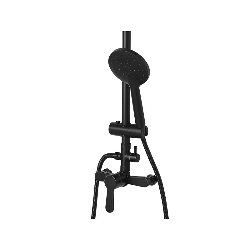 Almond Thermostatic Shower with Dual Head, Black