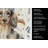 Longhaired Dapple Dachshund Coffee Bar Kitchen Towel-1168063285