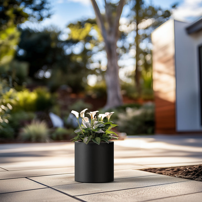 Pot à fleurs en ciment Skogh, H 13 po x l 13 po x P 13 po, Noir anthracite