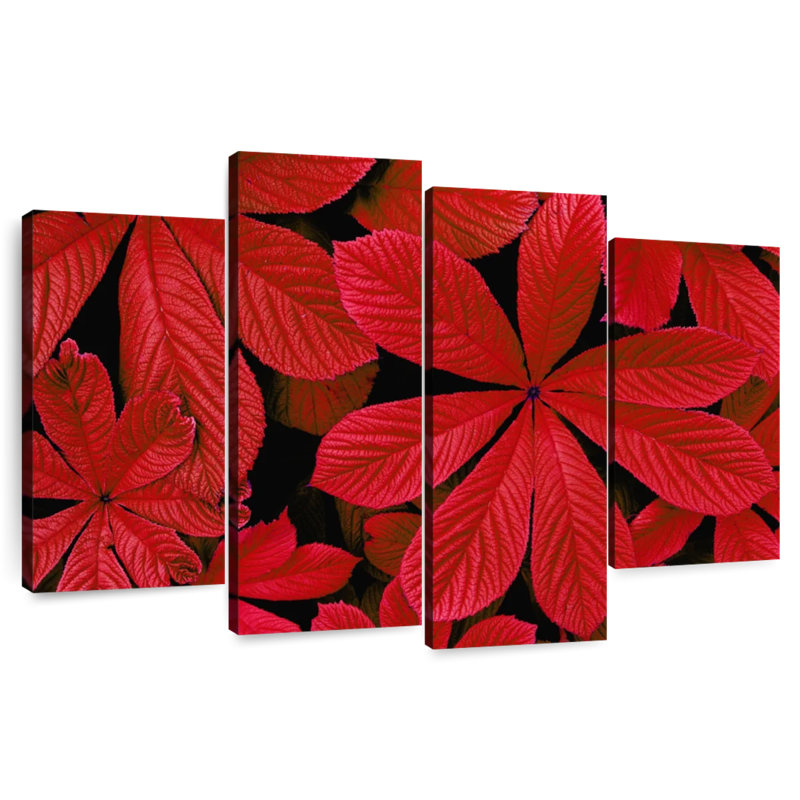 Harnek - feuillage d'automne rouge, H 22 po x l 36 po