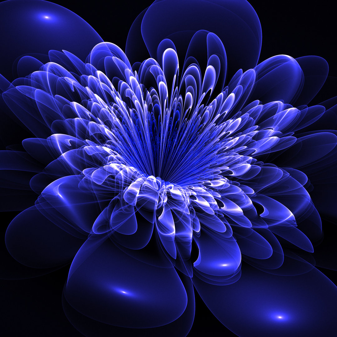 Karlyn Beautiful Blue Flower On Black Background. Computer Generated - Wrapped Canvas Graphic Art