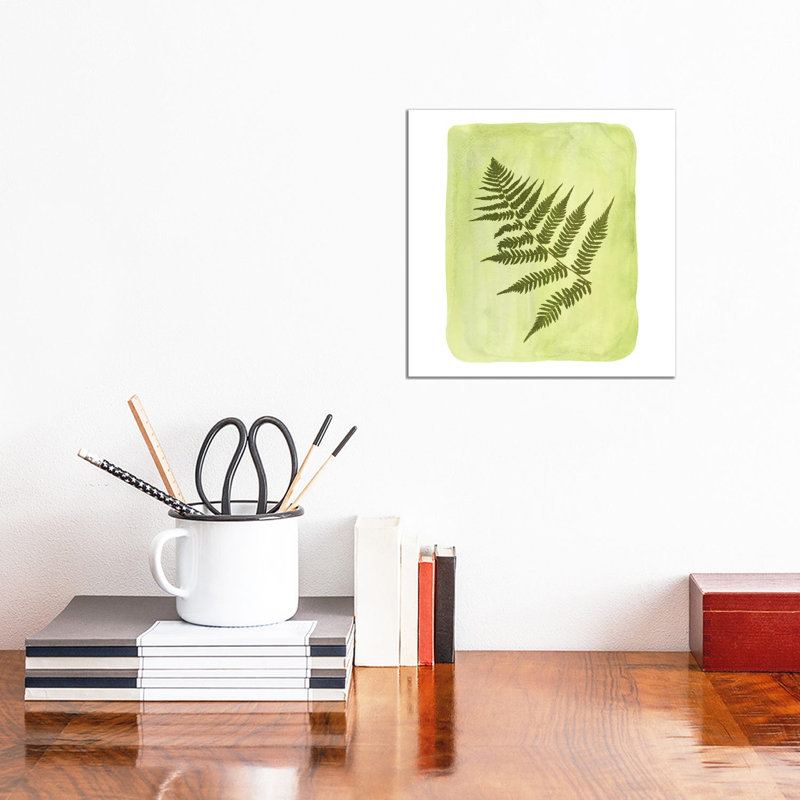 Fern 1 Piece Painting on Canvas, 30.48cm H x 30.48cm W x 1.91cm D, Wrapped Canvas