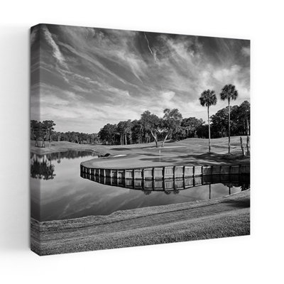 Tpc At Sawgrass Ponte Vedre Beach St. Johns County Florida Usa Abstract Contemporary Landscape Nature Art