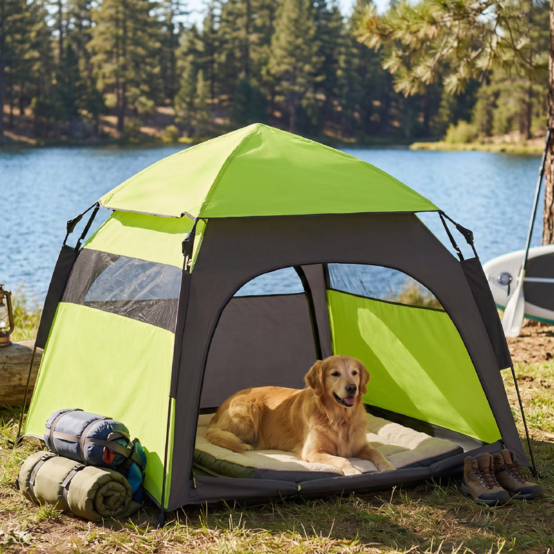 Tente de camping portable pour chien avec sac de transport