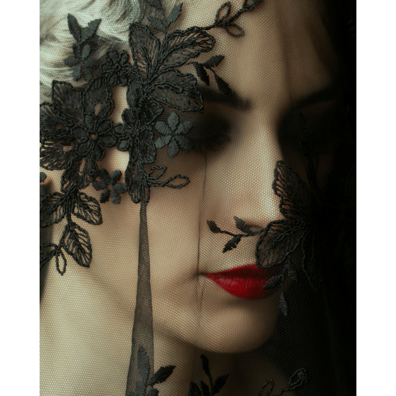 Wrapped Canvas Print, 76.2cm H x 50.8cm W